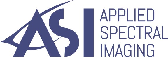 ASI