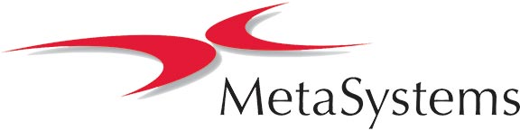 MetaSystems